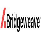 Logo_Bridgeweave-removebg-preview-removebg-preview[1]